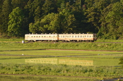 田園風景３