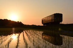 夕陽
