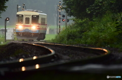雨のミキ