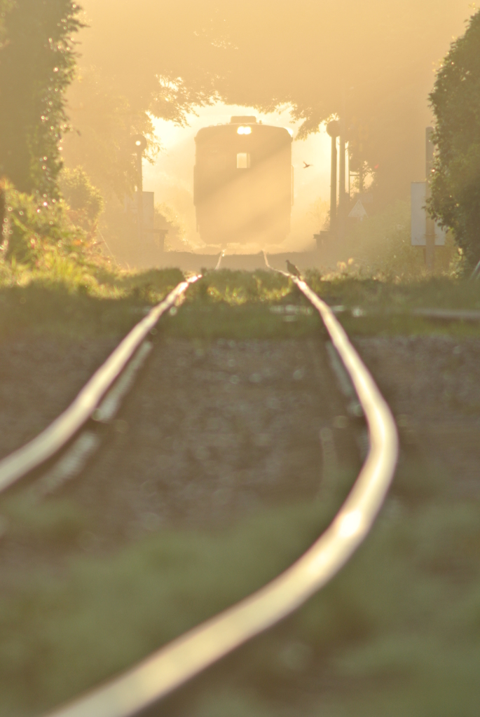 朝日のヴェール