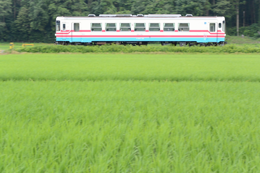 それぞれの楽しみ