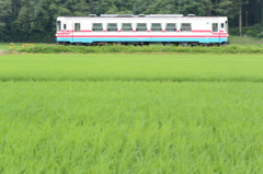 それぞれの楽しみ