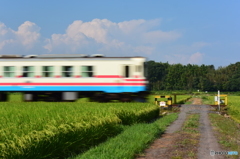 通り過ぎる夏