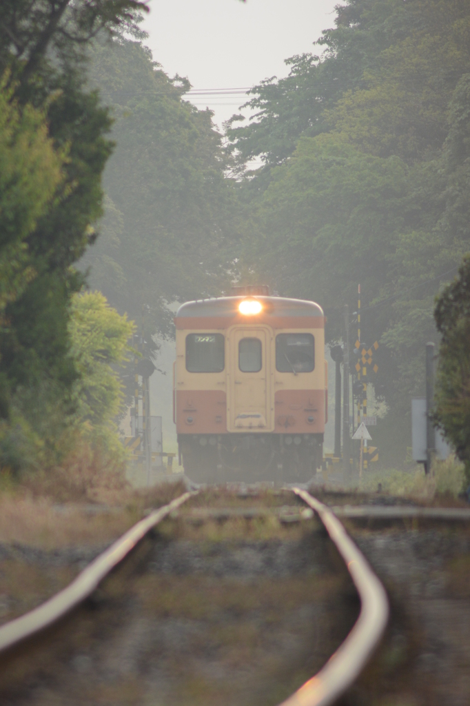 朝もやを抜けて