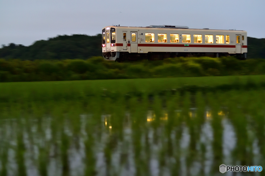 水田地帯の夕方