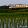 水田地帯の夕方