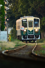 夕暮れ列車
