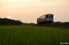 夏の夕暮れ