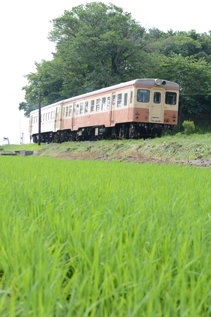 旧型気動車二連