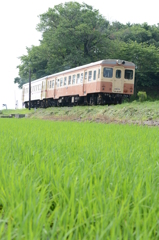 旧型気動車二連