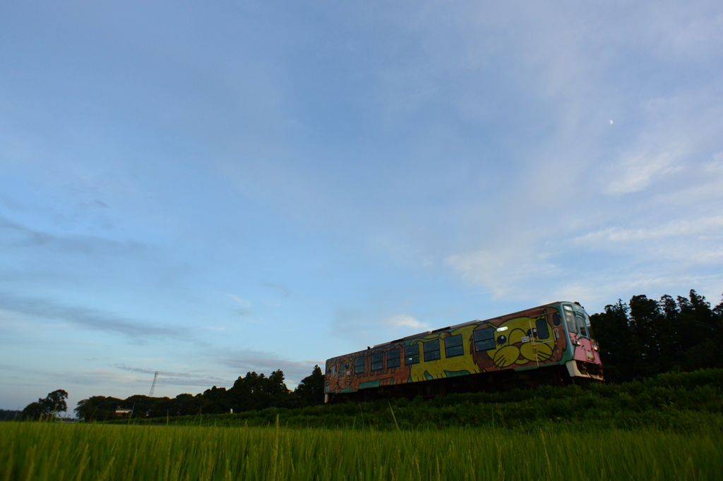 上弦の月に見守られて