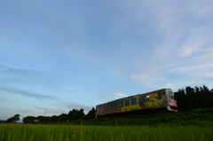 上弦の月に見守られて