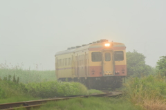 霧の朝