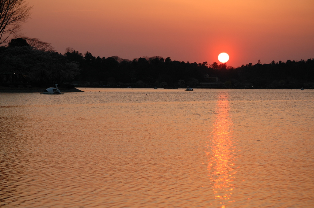 千波湖夕景