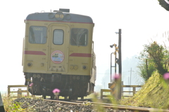 逆光線