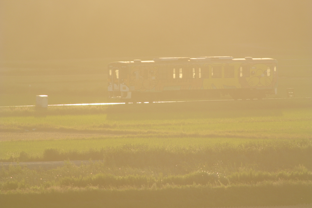 夕日にきらめく
