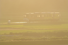 夕日にきらめく