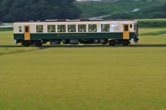 稲の絨毯を行く湊線