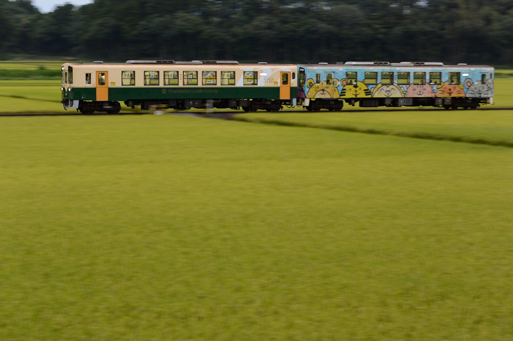 ビア列車＋アニマル