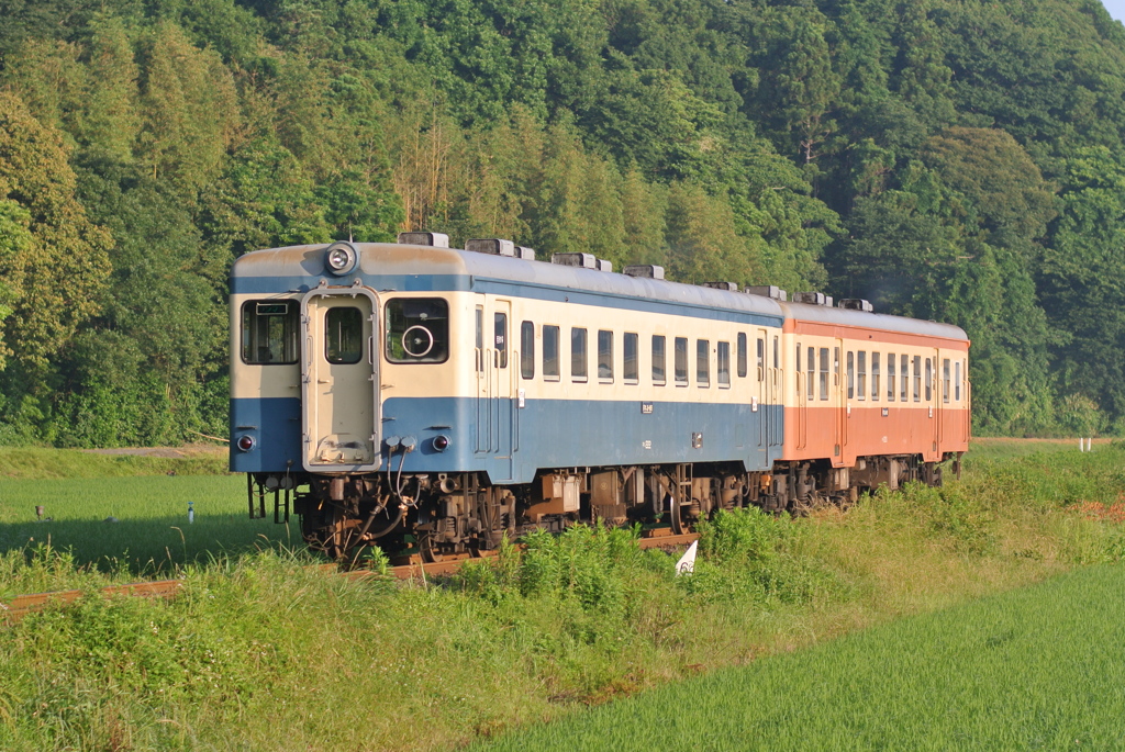 旧型気動車快走