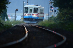 薄明かり