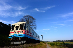 ミキと青空