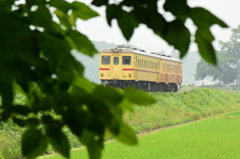 緑雨