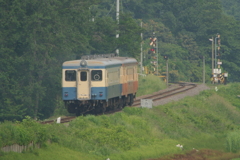 山へ向って走る