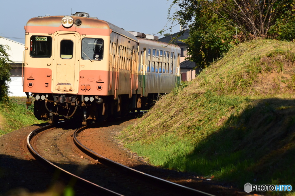 旧型の朝列車
