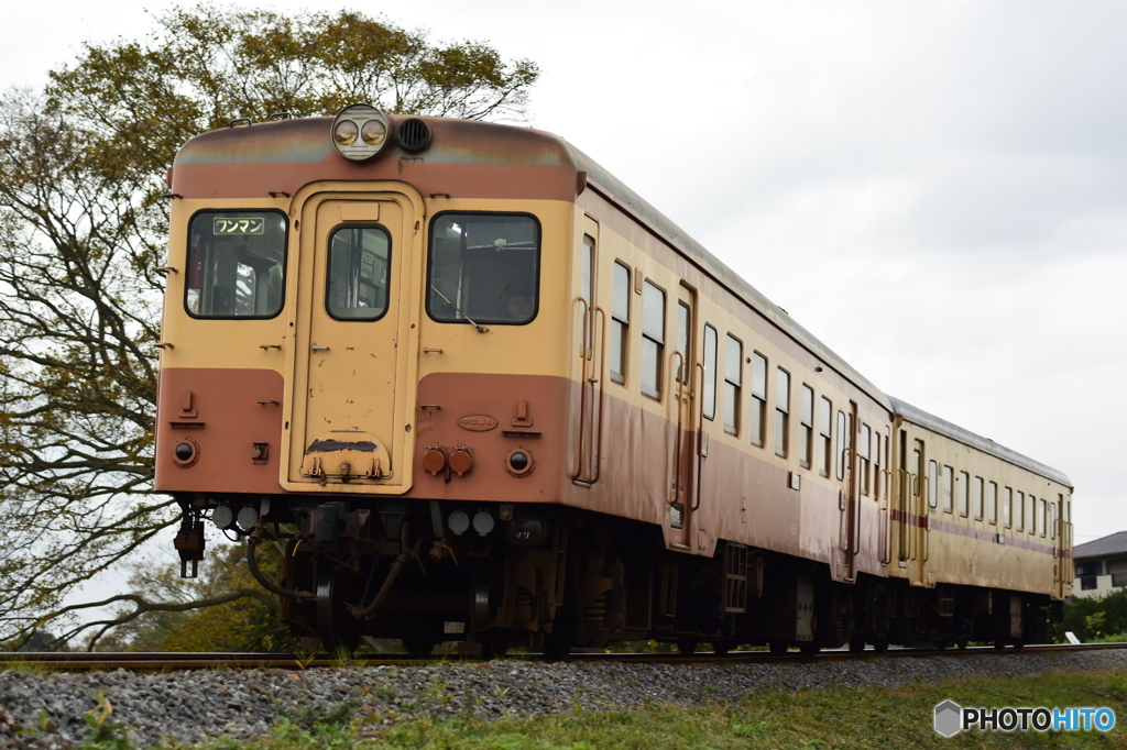 旧型気動車二両編成２