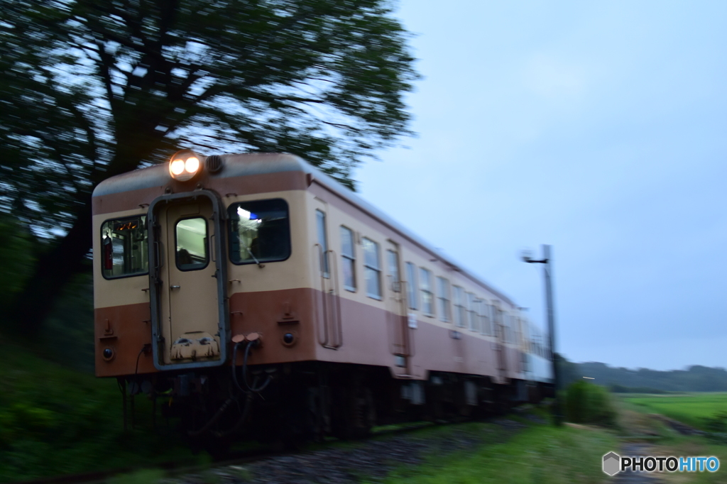 キハ205駆ける