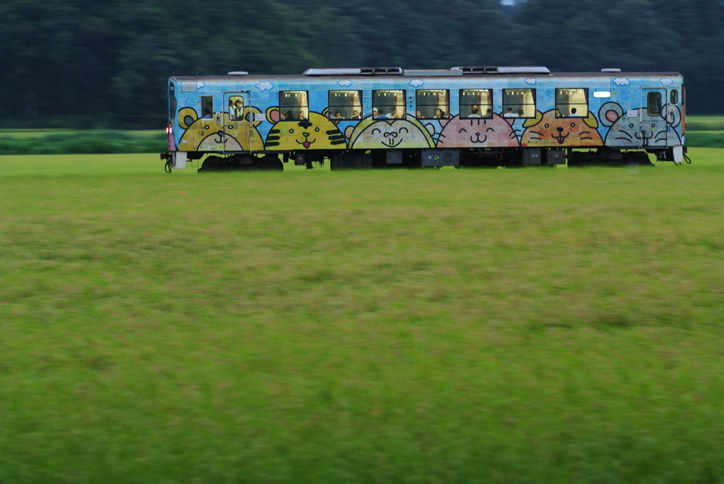 アニマル夕暮れを走る