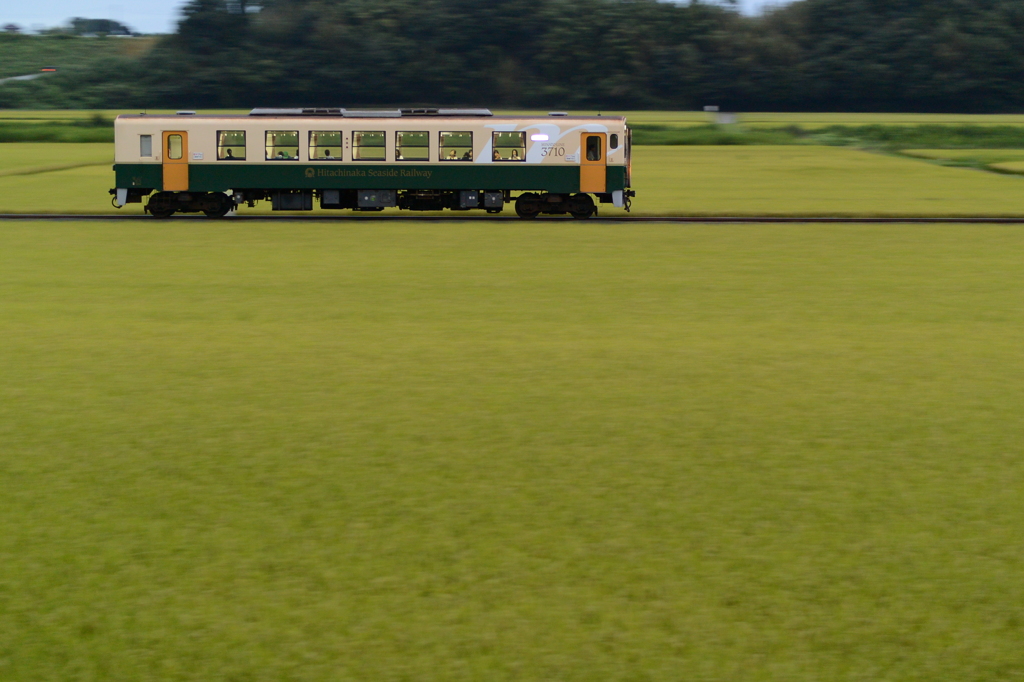 くつろぎの時間