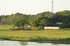 田園風景２