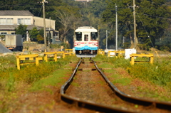 連なる踏切