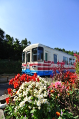 花列車