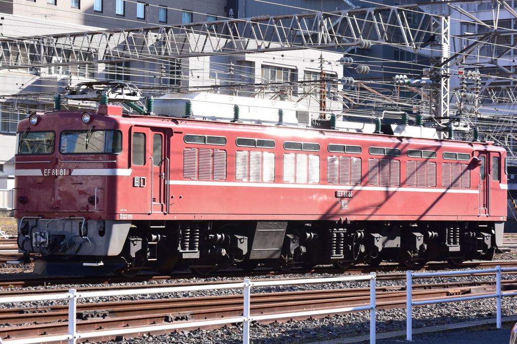 EF8181輝く