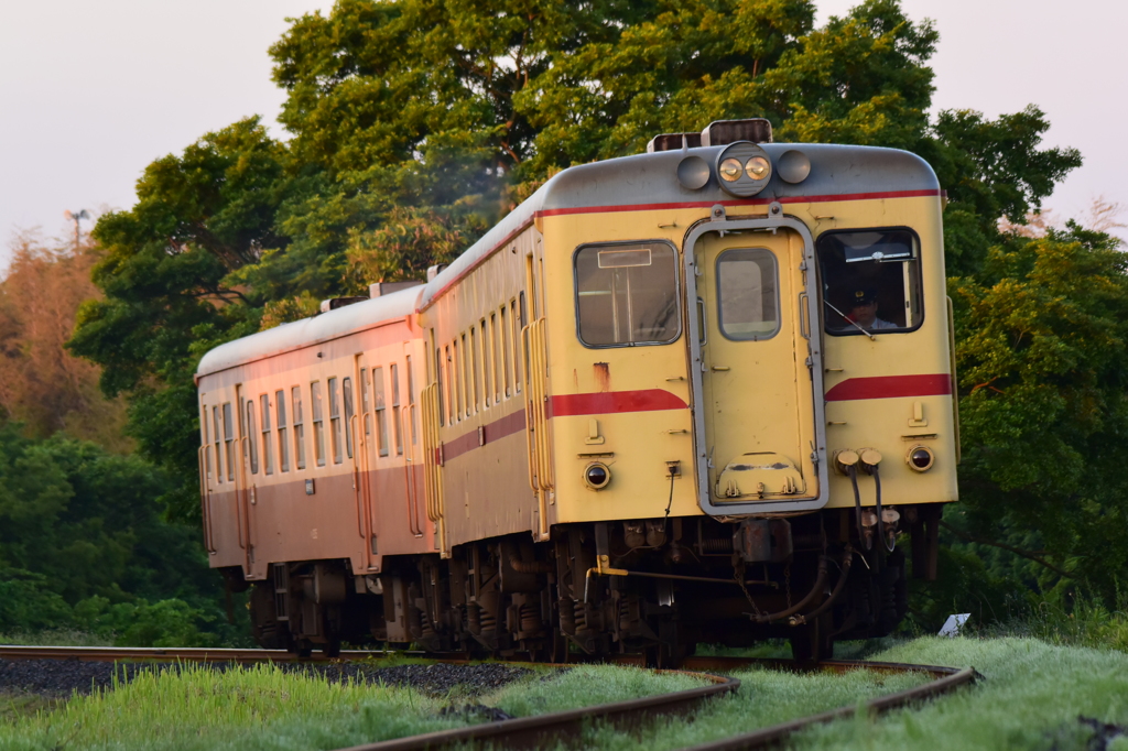 旧型気動車カーブ進行