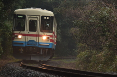 ミキ，靄の中