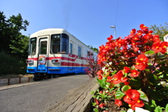 花咲く駅