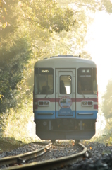 朝霧を抜けて