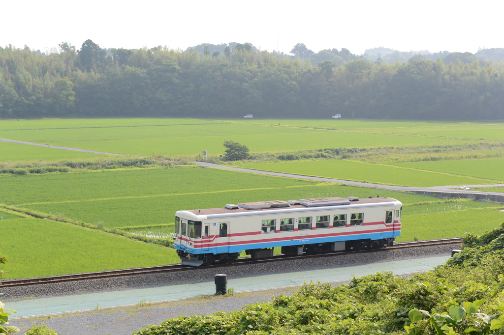 ナノクリでミキ300