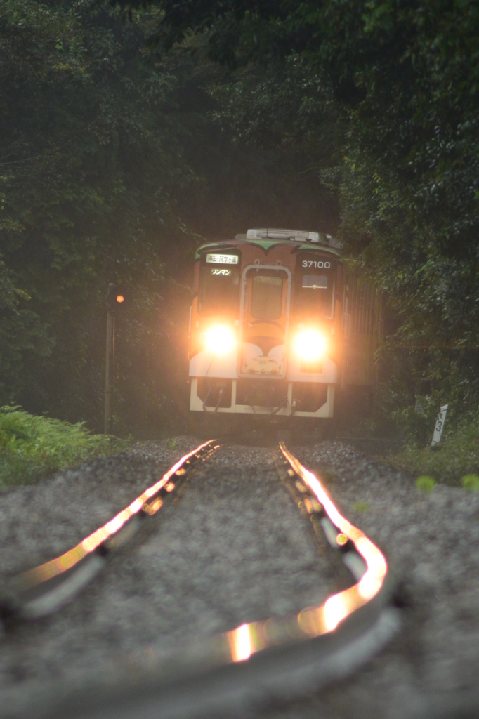 雨の日はきれいに光ります。