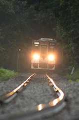雨の日はきれいに光ります。