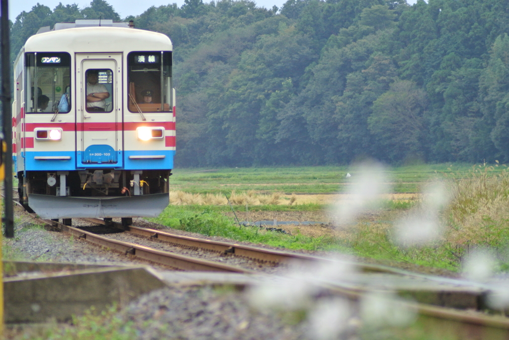 稲刈り後の水田地帯