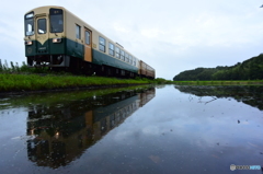本日はビア列車