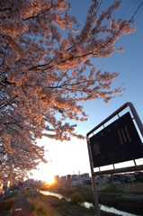 桜川夕景