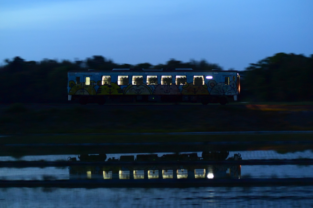 アニマルの夕列車