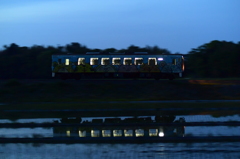 アニマルの夕列車