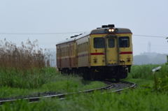 雨に煙る